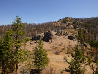 Formations at 8000’ in the Canyon Creek burn, Malheur National Forest. Photo credit: Katie Nicolato