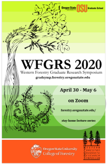 program document