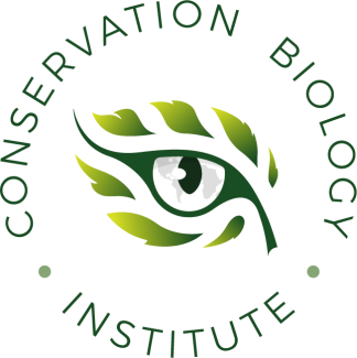 CBI Logo